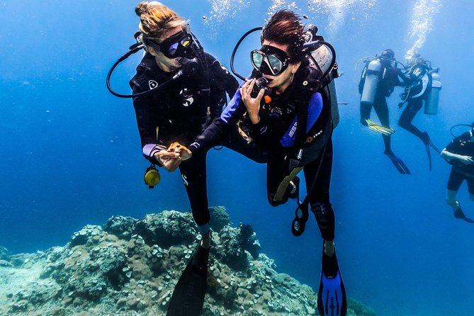 discover-scuba-diving-in-tulamben-diving-initiation-in-bali-best-diving-sites-tulamben-scuba-diving-overview