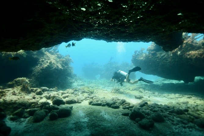 Discover Scuba Diving in Tulum - Whats Included
