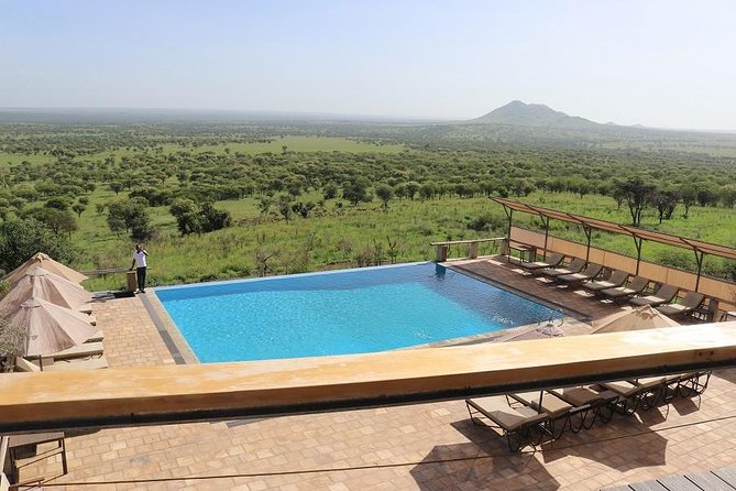 discover-tanzania-through-the-3-wild-classics-transportation-and-accommodation
