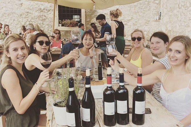 Discover Valpolicella Vineyards and Wine Tasting Experience