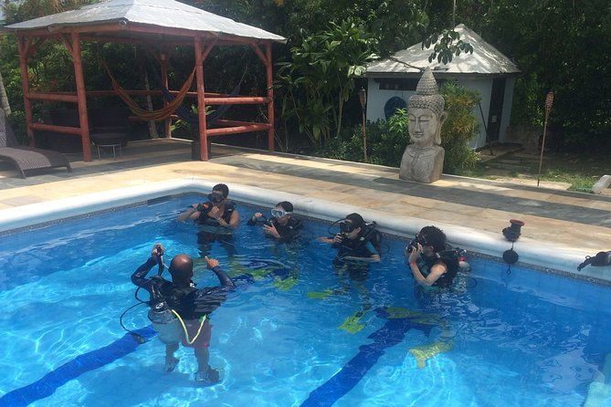 Discovering Diving / Discover Scuba Diving (DSD) - Overview and Experience