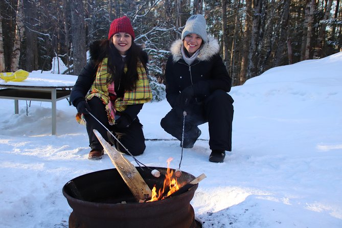 dog-sledding-adventure-from-toronto-private-tour-overview-of-the-adventure