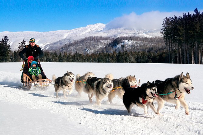 dogsled-adventure-in-mont-tremblant-overview-of-the-experience