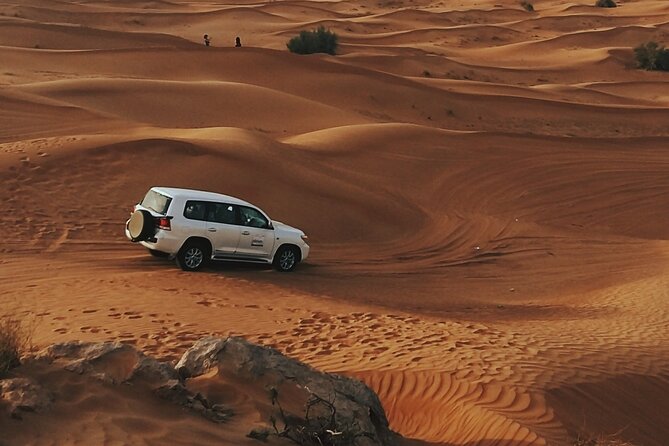 Doha Private Half-Day Guided Desert Safari Tour - Overview of the Tour