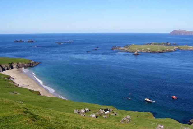 Dolphin and Whale Watching Tour From Dingle - Coastal Scenery of the Wild Atlantic Way