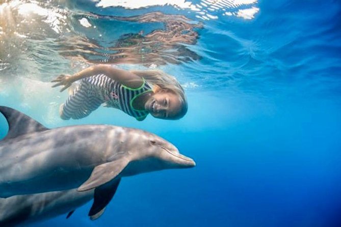 Dolphin House Royal VIP Snorkeling Sea Trip, Lunch, Water Sports – Hurghada