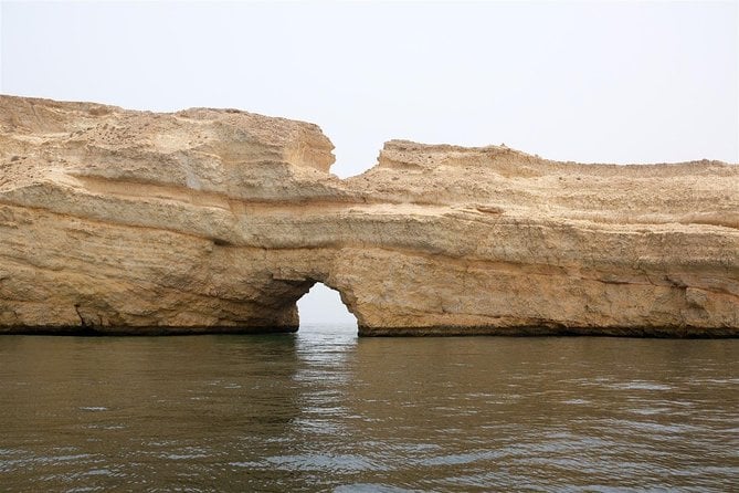 dolphin-watching-overview-of-the-tour