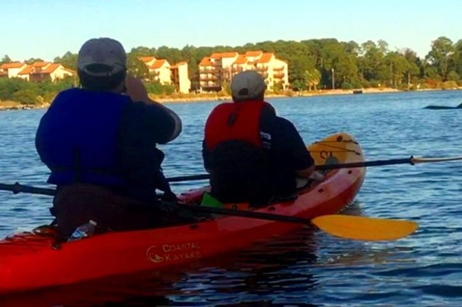 dolphins-and-wildlife-kayak-experience-from-gulf-shores-kayaking-through-the-waterways