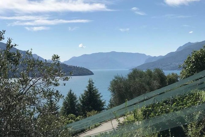 Domaso: Wine Tasting at the Winery on Lake Como - Whats Included in the Package