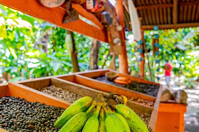 Dominican Republic Countryside Safari Tour From Punta Cana - Cultural and Educational Experiences
