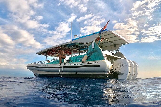 Double Reef Snorkel, Dolphin & BBQ