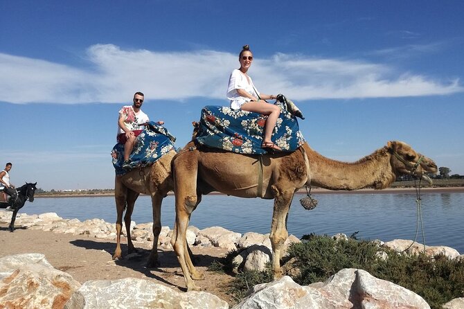 Dromedary Safari: 2 Hours - Transportation and Accessibility