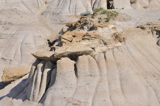 Drumheller (Dinosaur Valley) & Horseshoe Canyon 1-Day Tour - Inclusions
