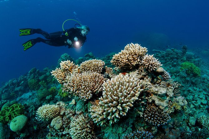 DSD Discover Scuba Diving (Min Age 10 Years) - Course Overview