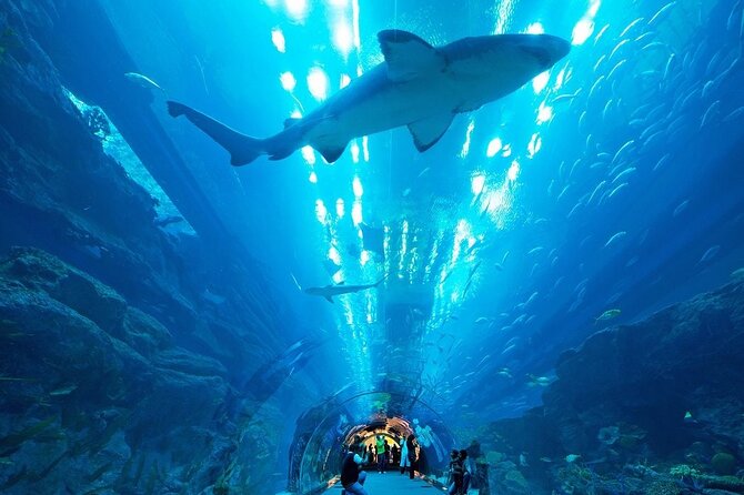 Dubai Aquarium & Underwater Zoo