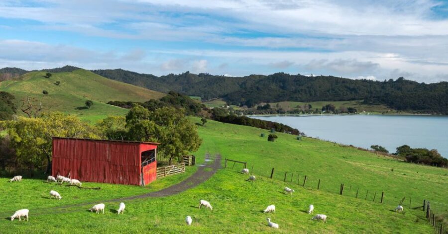 Duder Regional Park Walking Tours - Tour Overview and Pricing