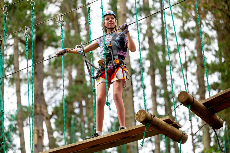 Dwellingup: Tree Ropes Course | Power Traveller