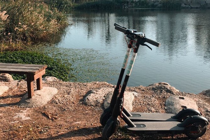 2 Best Motorbike And Scooter Rentals In Valencia