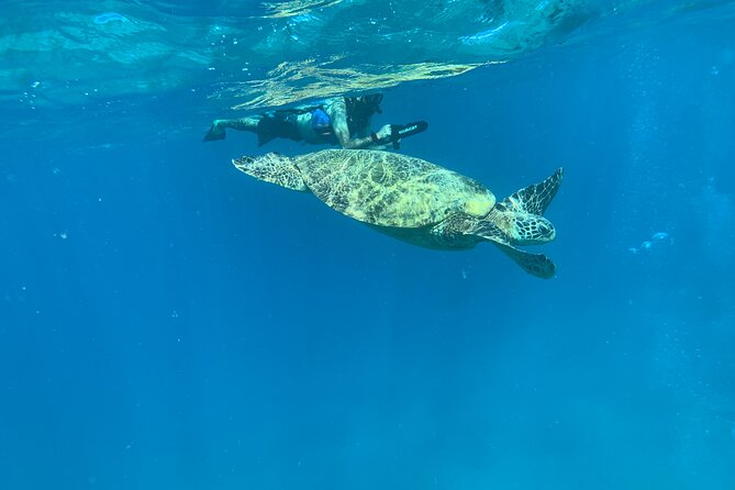 E-Scooter Snorkel With Photo and Video At Turtle Town - Explore Turtle Towns Aquatic Wonders