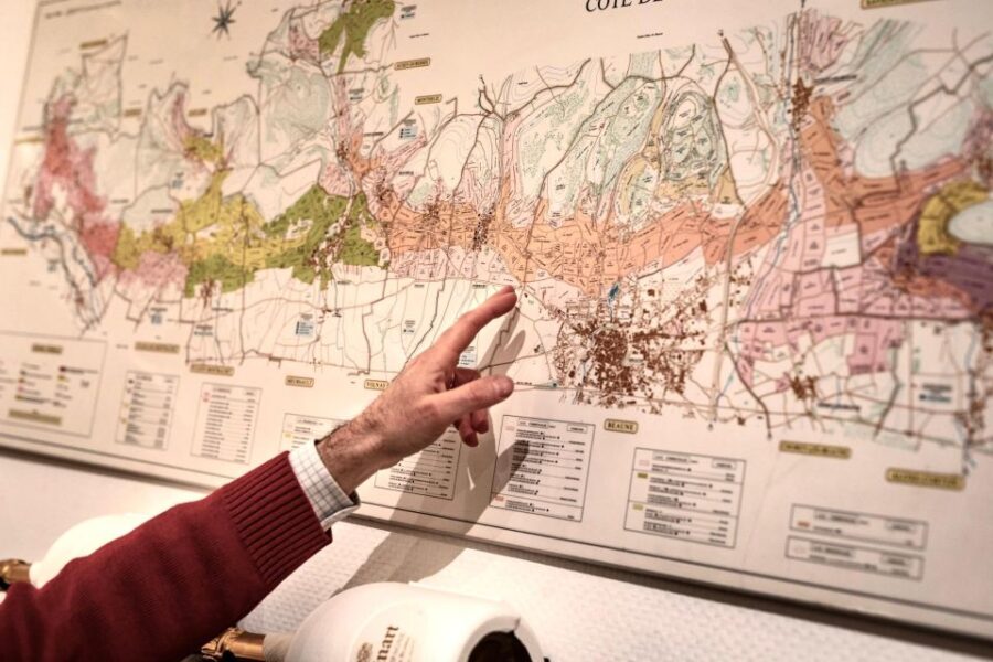 %e2%9c%a8-masterclass-chardonnay-wine-tasting-in-dijon-%f0%9f%87%ab%f0%9f%87%b7-event-details
