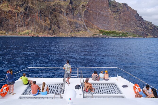 Eco-Friendly Catamaran Dolphin and Whale Watching