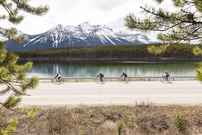 Edmonton Bike Rentals - Rental Includes