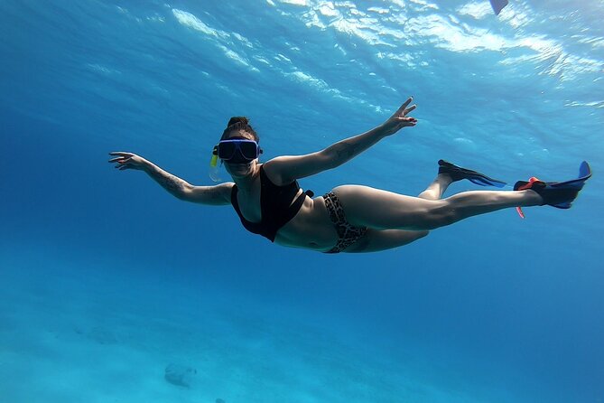 El Cielo Cozumel Snorkeling by Private Boat