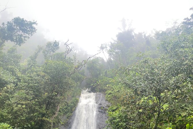 El Yunque National Forest Guided Tour With Transport - Tour Overview