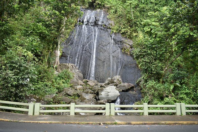 El Yunque Rainforest Guided Day Tour From San Juan