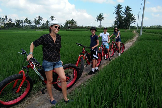 Electric Bike Tour in Ubud - Overview of the Tour