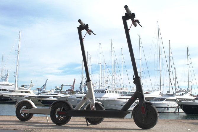 electric-scooter-rental-pricing-and-booking