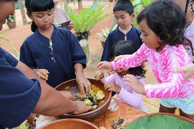 Elephant Nature Care, the Largest Elephant Sanctuary on Koh Samui