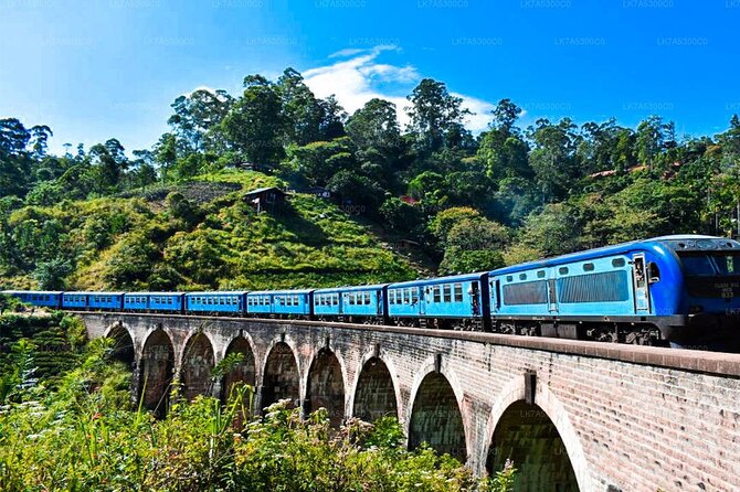 Ella Day Trip With Train Ride & Tea Factory - All Inclusive - Tour Overview