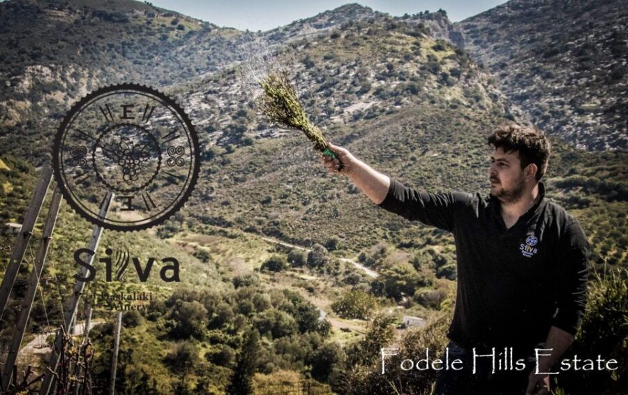 elounda-private-wine-tour-of-dafnes-valey-with-lunch-winery-visits