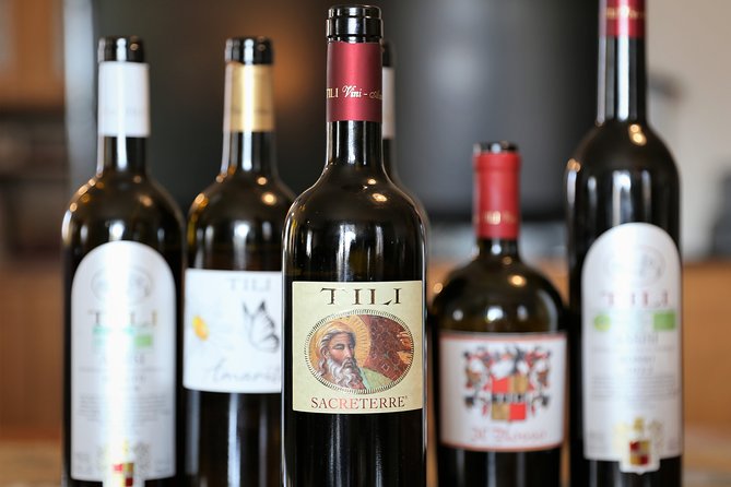 Enjoy and Taste the Flavors of Wine in an Open-air Venue - Tasting Experience