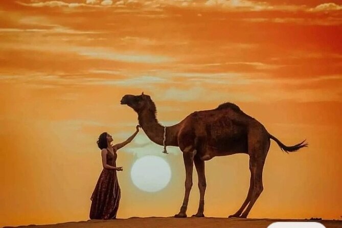 Erg Chebbi 1 Night Luxury Camp and Camel Trekking Desert Camp - Camel Trek Into the Sahara