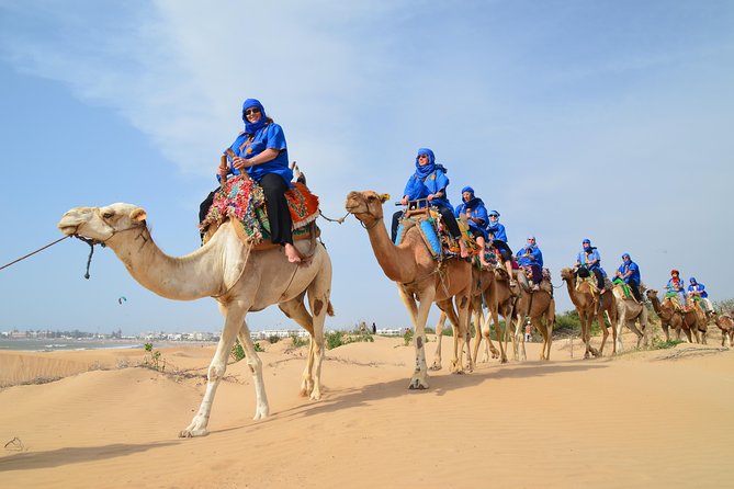 Essaouira 2-Hour Camel Adventure Ride