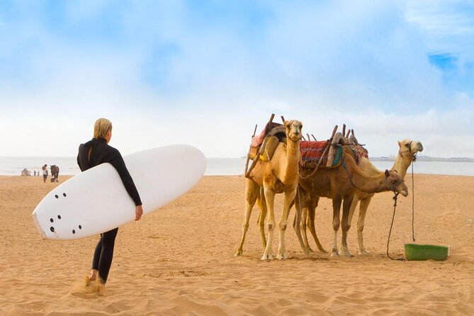 Essaouira Guided Tour: 3 on 1 - Nightlife Tour, Live Like a Local & Street Food