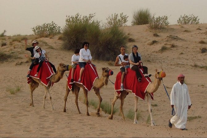 Evening Desert Safari Abu Dhabi With Dinner