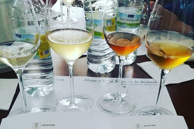Evening Wine Tasting Cordoba