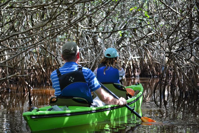 Everglades Kayak Safari Adventure Through Mangrove Tunnels