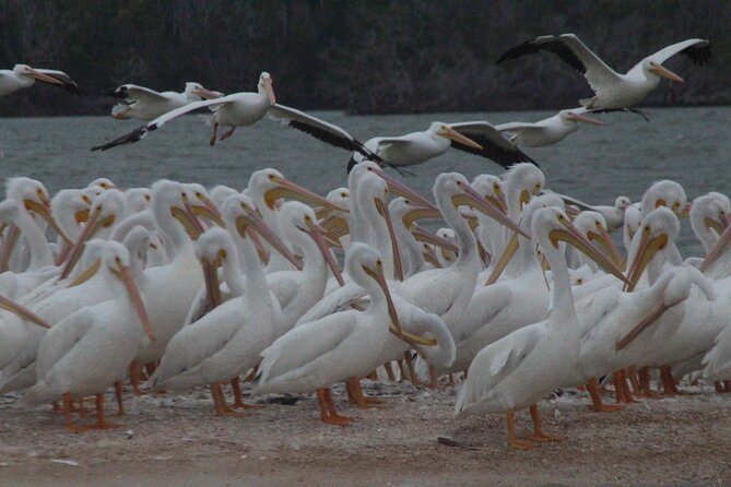 3 Best Guided Tours In Everglades National Park