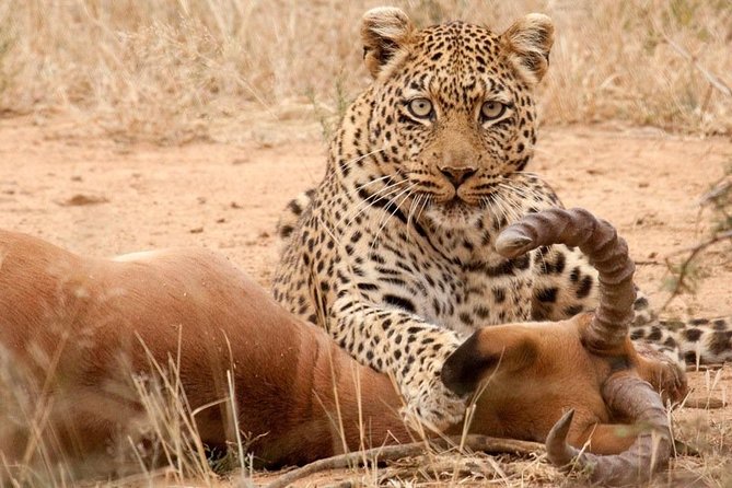Excellent Safari and Luxury Safari Tanzania - Traversing Tarangire National Park