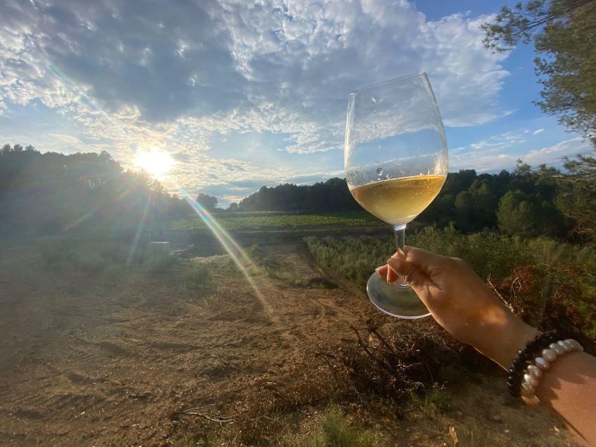 exclusive-penedes-wine-tour-brunch-in-the-vineyard-overview-of-the-experience