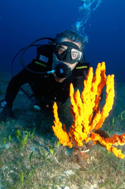Experience 2 Tank Scuba Diving on Paros