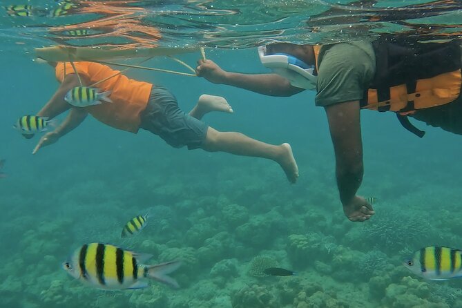 Experience Andamans® - 6 Days Andaman Tour Package With Havelock & Neil