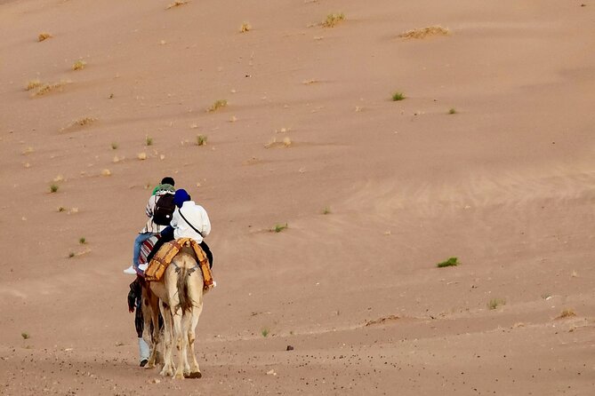 Experience Luxury in Zagora: 2-Day Desert Adventure - Marrakech Pickup and Transport