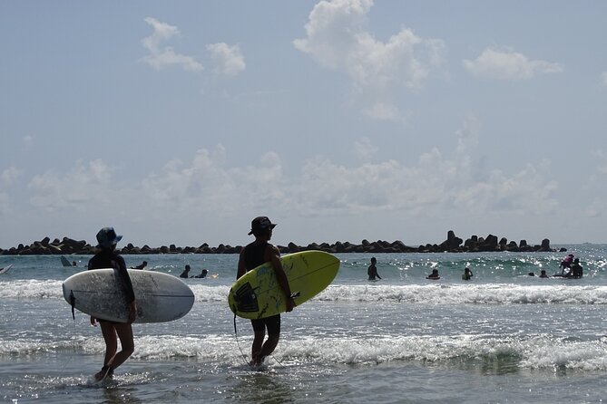 Experience Surfing Lesson in Nagoya Japan - Overview of the Experience