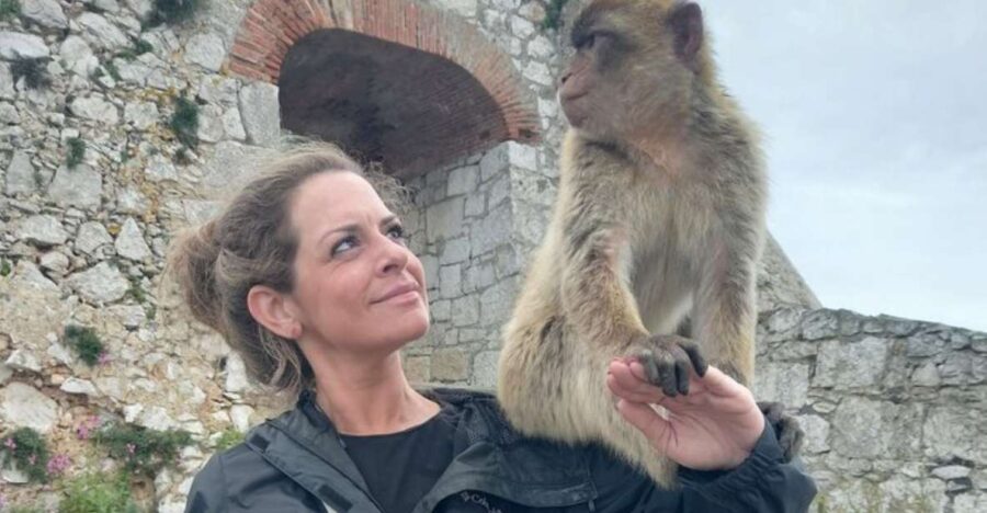 3 Best Guided Tours In Gibraltar
