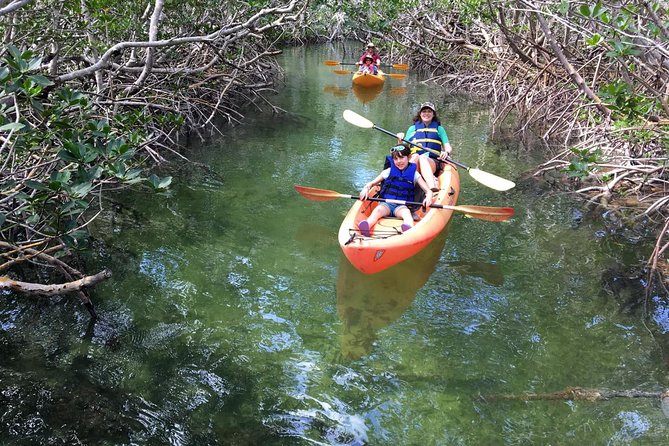 Explore Mangrove Creeks With an All Day Sup/Single Kayak Rental - Spend a Day Kayaking Florida Keys